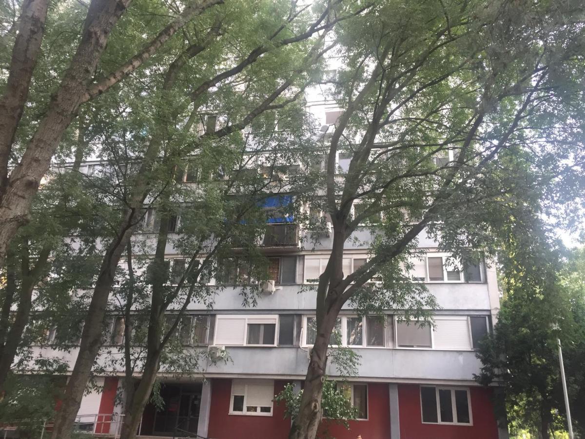 Apartment Ljiljana เบลเกรด ภายนอก รูปภาพ