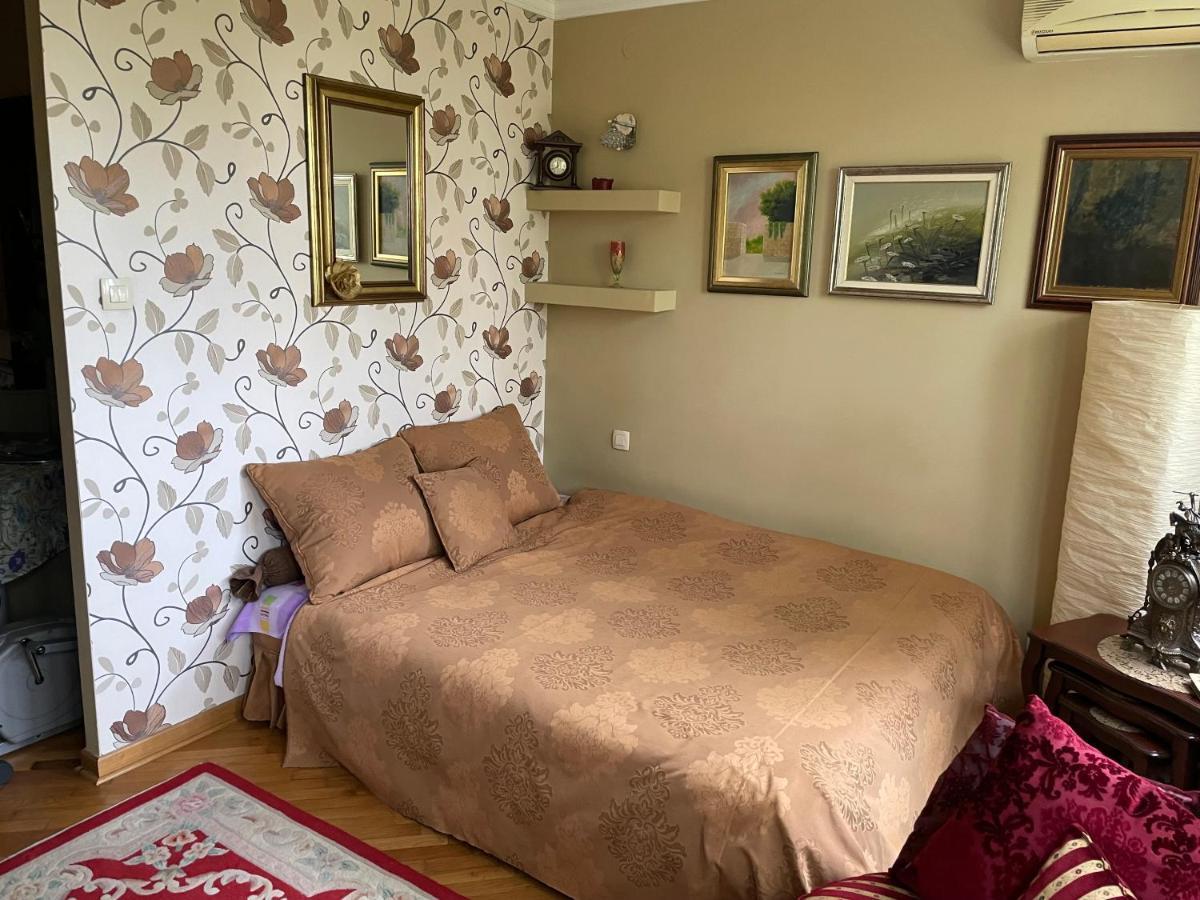Apartment Ljiljana เบลเกรด ภายนอก รูปภาพ