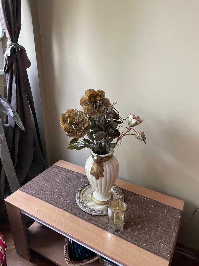Apartment Ljiljana เบลเกรด ภายนอก รูปภาพ